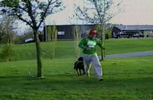 ezgif-162385750.gif