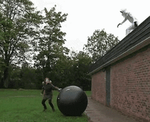 medium.gif